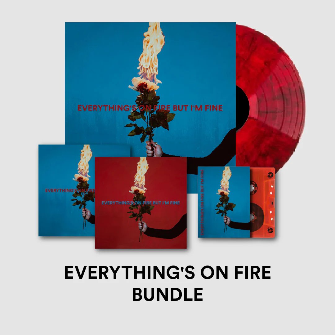 ADFFIREMARVI.jpg AS DECEMBER FALLS - Everythings On Fire But Im Fine Vinyl Record - Image 1