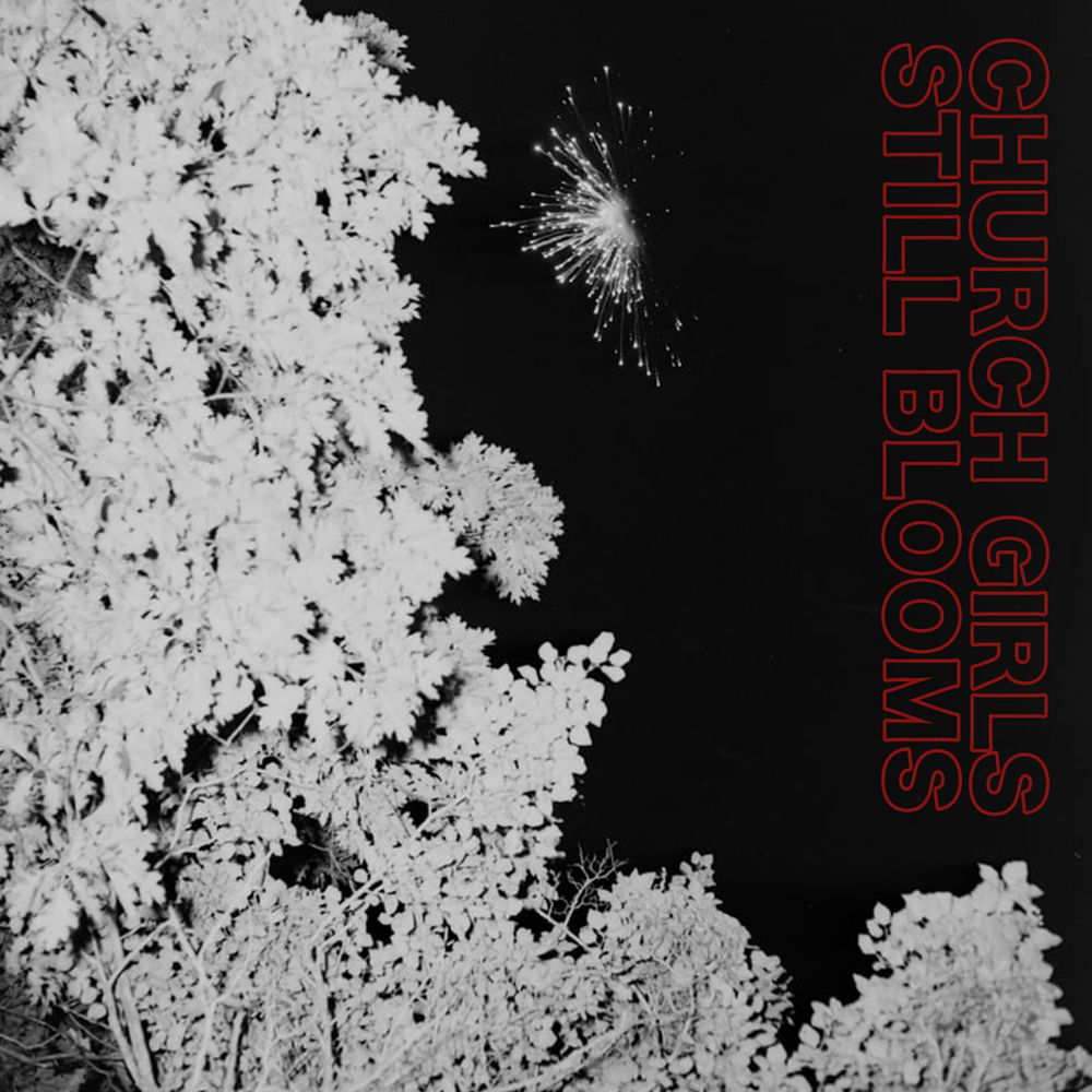 AEF56LP.jpg CHURCH GIRLS - STILL BLOOMS - Image 1