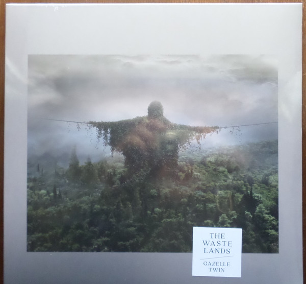 AGMR052LP.jpg GAZELLE TWIN - THE WASTELANDS - Image 1