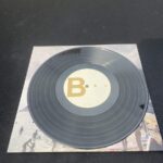BAU - INDIFFERENTEMENTE Vinyl Record