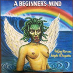 SUFJAN STEVENS & ANGELO DE AUGUSTINE - A BEGINNER'S MIND