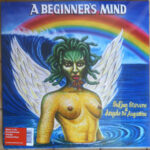 SUFJAN STEVENS & ANGELO DE AUGUSTINE - A BEGINNER'S MIND