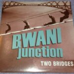 BWANI JUNCTION - TWO BRIDGES Vinyl Record