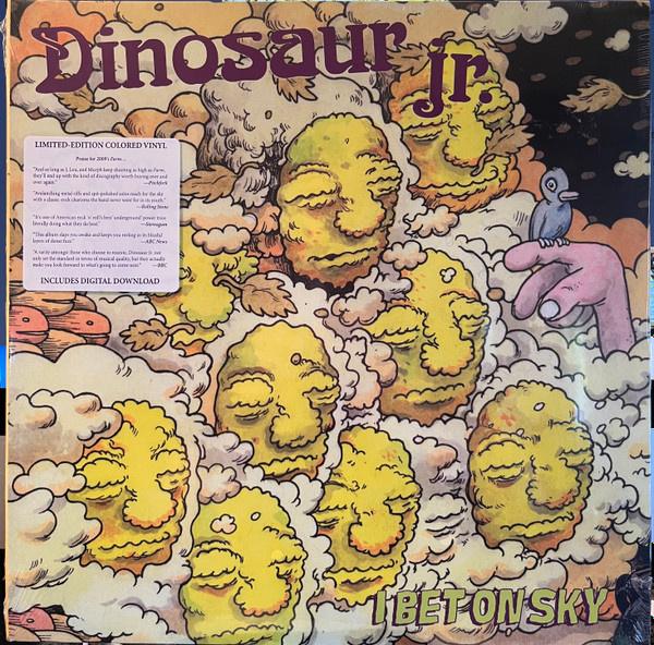 AL0656605222813.jpg DINOSAUR JR - I BET ON SKY - Image 1