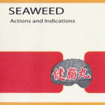 SEAWEED - ACTIONS & INDICATIONS