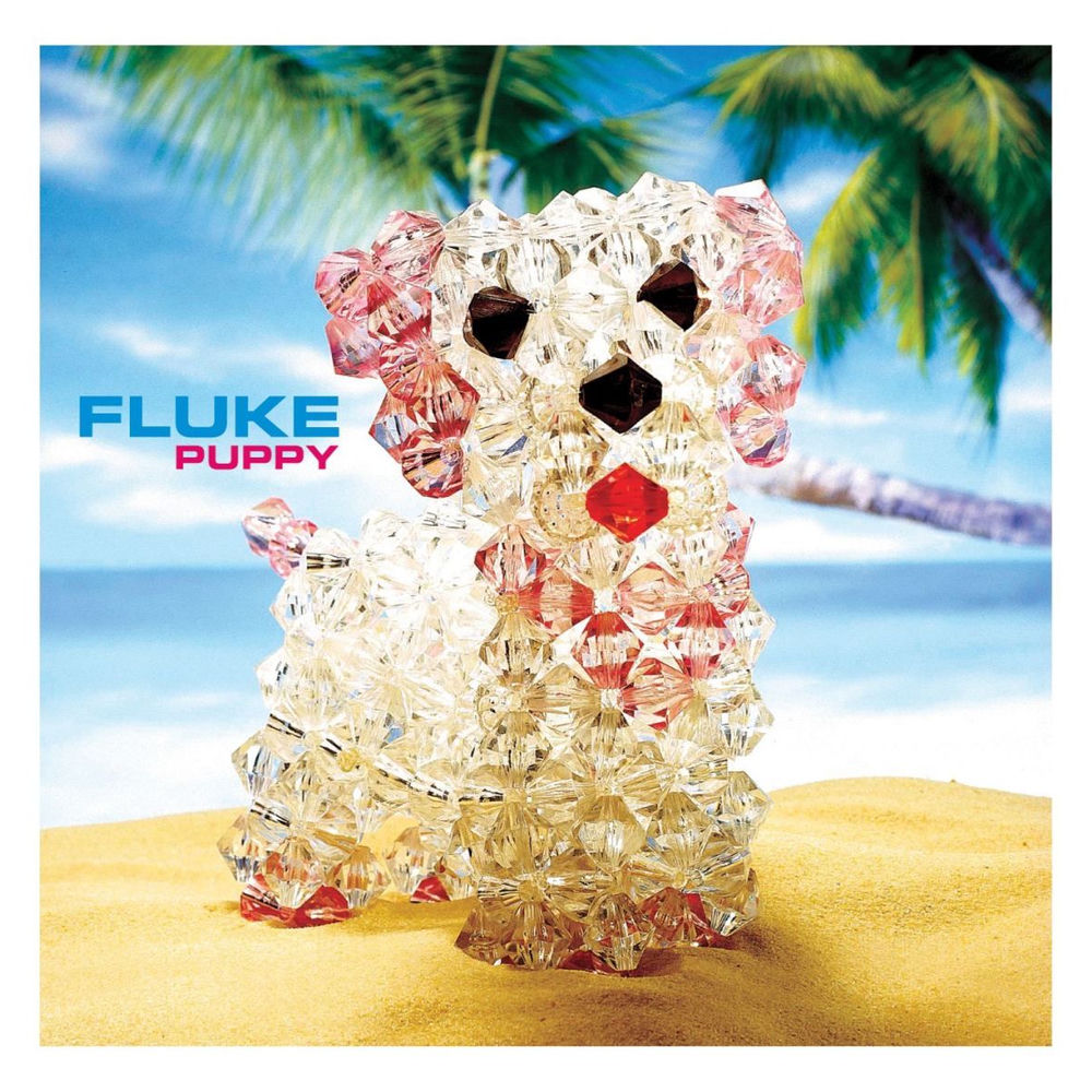AL0827954036912.jpg FLUKE - PUPPY - Image 1