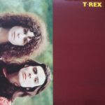 BLACK RYDERTHE - DOOR BEHIND THE DOOR Vinyl Record