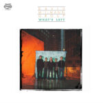 DAVID MIILMANN GROUP - WHATS LEFT