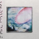 Cicada Ensemble - Murmuration Clip Vinyl Record