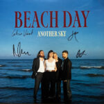 Another Sky - Beach Day Vinyl Record