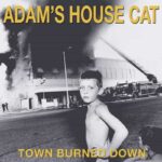 ADAM'S HOUSE CAT - WORLD BURNED DOWN Vinyl Record