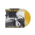 ADAMS HOUSE CAT - Town Burned Down Vinyl Record
