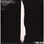 AMANDA SHIRES - TAKE IT LIKE A MAN Vinyl Record