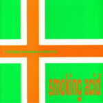 THE BRIAN JONESTOWN MASSACRE - SMOKING ACID