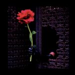 CRUSH OF SOULS - (A)VOID LOVE Vinyl Record