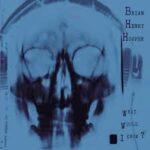 BRIAN HENRY HOOPER - What Would I Know? Vinyl Record
