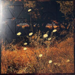 SZUN WAVES - EARTH PATTERNS