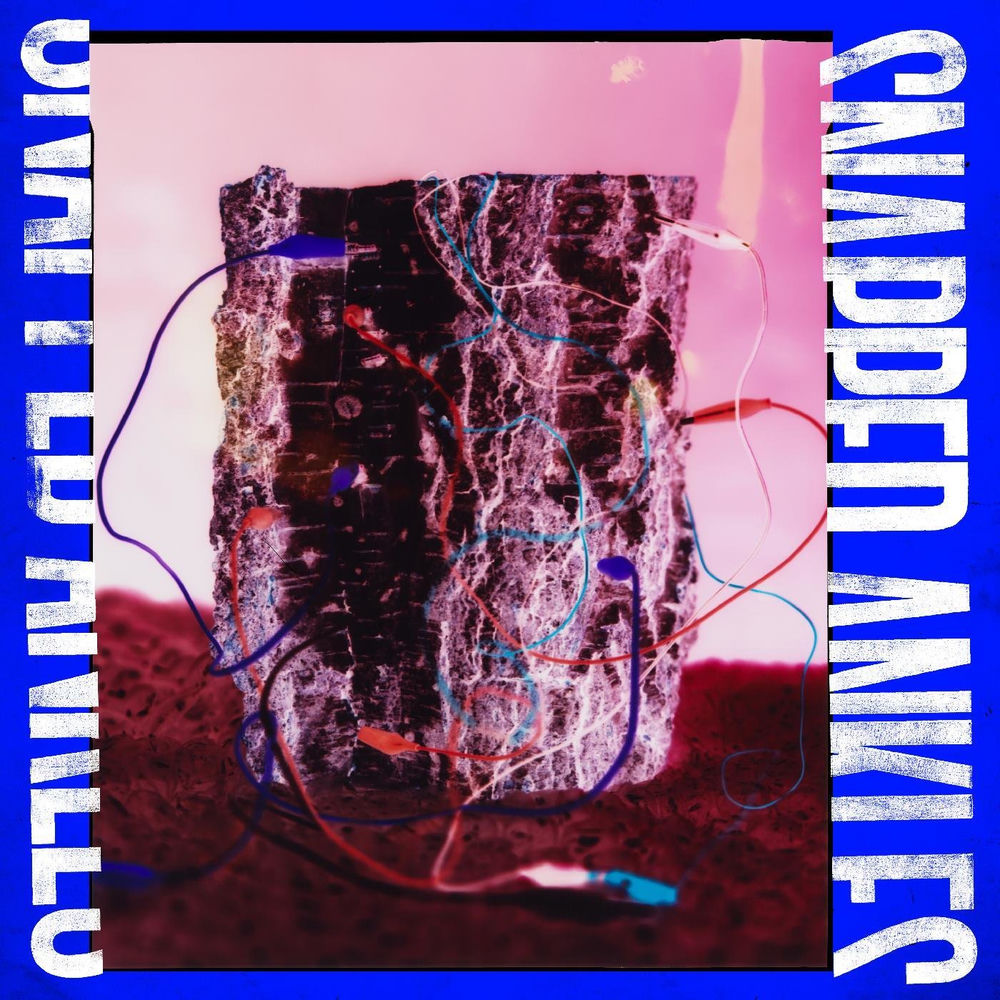 BAY126V.jpg SNAPPED ANKLES - FOREST OF YOUR PROBLEMS - Image 1