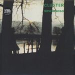 CLUSTER - SOWIESOSO Vinyl Record
