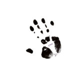 SCHNITZLER CONRAD - CON 84