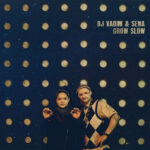 DJ VADIM & SENA - GROW SLOW