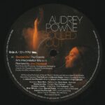 AUDREY POWNE - SOULED OUT / FEED THE FIRE REM Vinyl Record