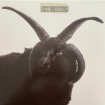 THE CULT - THE CULT