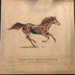 TURNPIKE TROUBADOURS - A LONG WAY FROM YOUR HEART