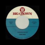 BOBBY OROZA - YOUR LOVE IS TOO COLD Vinyl Record