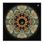 BACAO RHYTHM & STEEL BAND - EXPANSIONS Vinyl Record