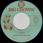 BACAO RHYTHM & STEEL BAND - MY JAMAICAN DUB / THE HEALER Vinyl Record