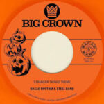 BACAO RHYTHM & STEEL BAND - STRANGER THINGS THEME B/W HALLOWEEN THEME Vinyl Record