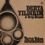 DERYA YILDIRIM & GRUP SIMSEK - YARIN YOKSA