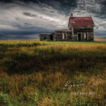 BYWATER CALL - SHEPHERD