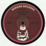 AQUARIAN DREAM - PHOENIX EAST 6TH STREET Vinyl Record