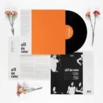 ALL IN ONE - ALL IN ONE Vinyl Record