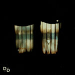 DIVIDE AND DISSOLVE - INSATIABLE