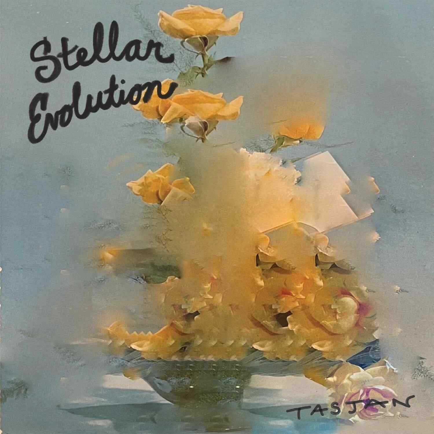 BER1466LP.jpg AARON LEE TASJAN - Stellar Evolution Vinyl Record - Image 1