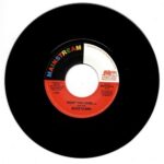 Alice Clark - Don't You Care / Never Did I Stop Loving You Vinyl Record