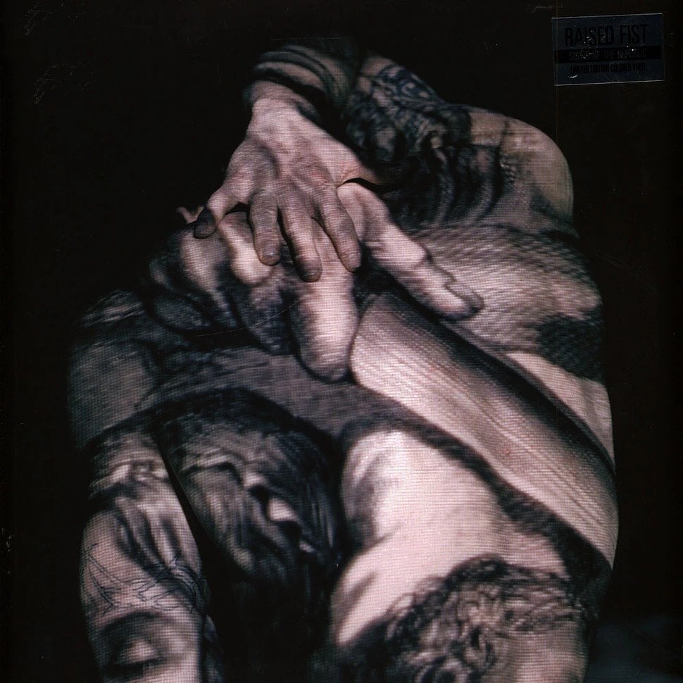 BHR01202-3.jpg RAISED FIST - SOUND OF THE REPUBLIC (REISSUE - Image 1