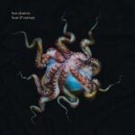BEN CHATWIN - Heat & Entropy Vinyl Record