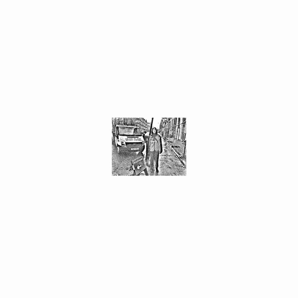 BIS022LP.jpg STILL HOUSE PLANTS - Still House Plants - Image 1