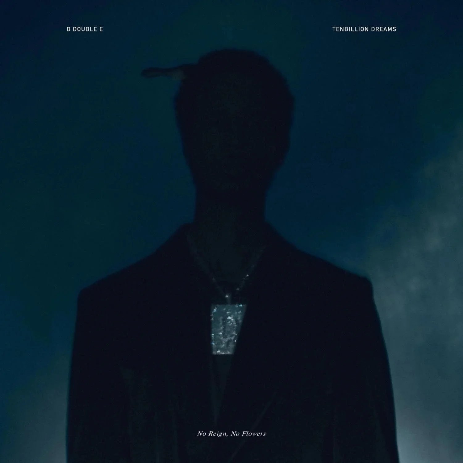 BLUKUM014LP.jpg D DOUBLE E X TEN BILLION DREAM - NO REIGN NO FLOWERS Vinyl Record - Image 1