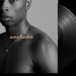 BONGEZIWE MABANDLA - AMAXESHA Vinyl Record