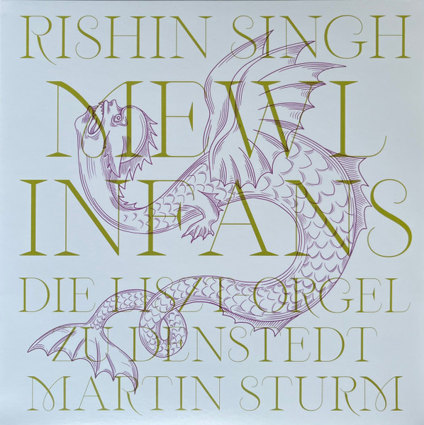 BNSD065.jpg RISHIN SINGH WITH MARTIN STURM - MEWL INFANS - Image 1