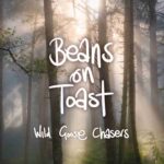 BEANS ON TOAST - WILD GOOSE CHASERS (PICTURE DISC) Vinyl Record