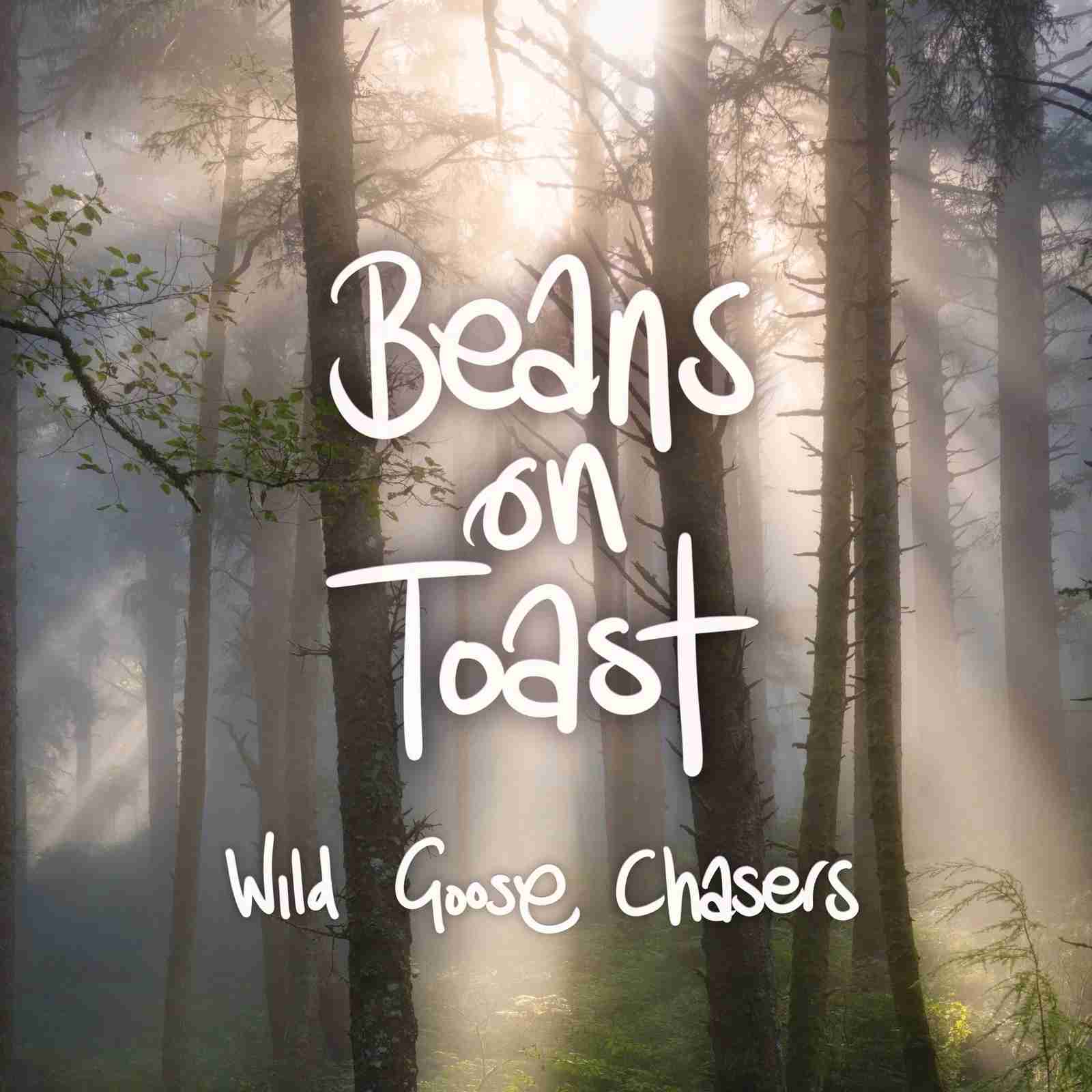 BOT17LP.jpg BEANS ON TOAST - WILD GOOSE CHASERS (PICTURE DISC) Vinyl Record - Image 1
