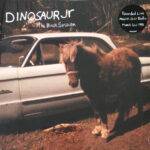 DINOSAUR JR - BLACK SESSION - LIVE IN PARIS