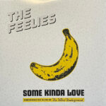 THE FEELIES - SOME KINDA LOVE: PERFORMING THE MUSIC OF THE V