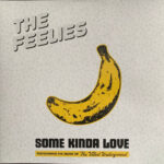 THE FEELIES - SOME KINDA LOVE: PERFORMING THE MUSIC OF THE V